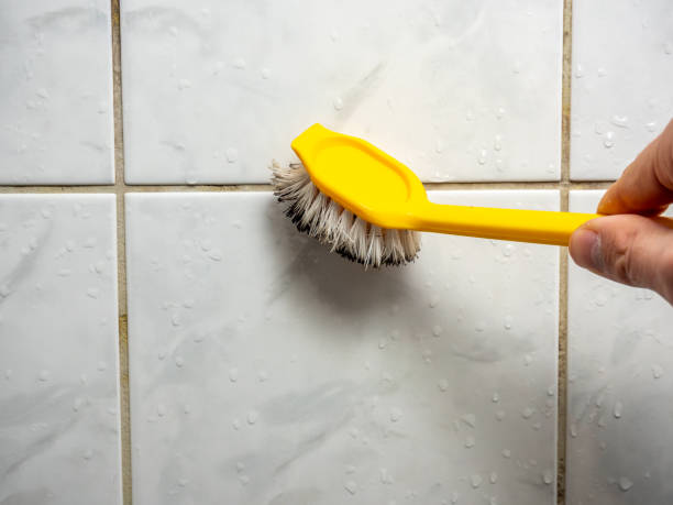 Best Professional Mold Removal  in Desert Palms, CA