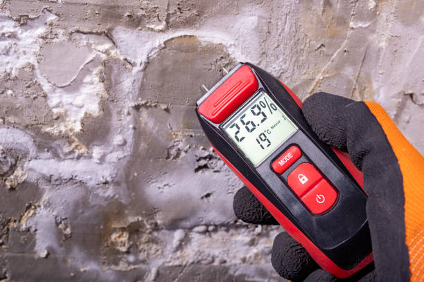 Best Emergency Mold Removal  in Desert Palms, CA