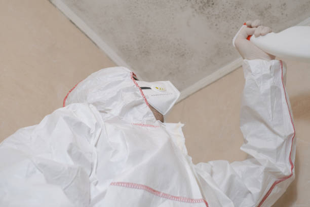 Best Mold Remediation  in Desert Palms, CA