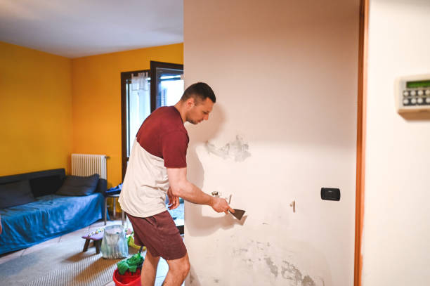 Best Attic Mold Removal  in Desert Palms, CA