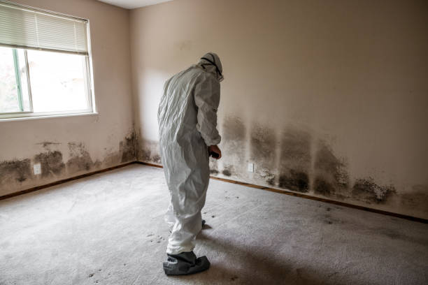 Best Mold Testing  in Desert Palms, CA